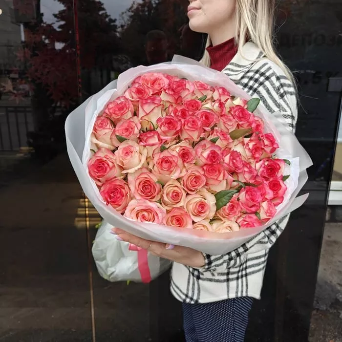 Роза Джумилия  в упаковке 51шт